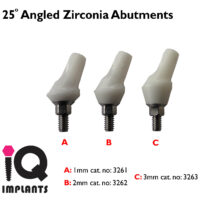 Angled Zirconia Abutment 25 1 3mm 11