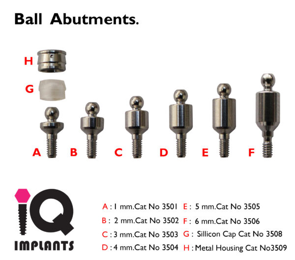 Ball attachment 1 6mmhousesilikon LOGO 11