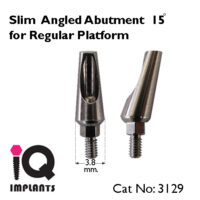 Slim Anguled Abutment 15 LOGO 1