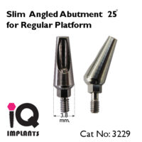 Slim Anguled Abutment 25 LOGO