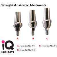 Straight Anatomic with 1 3mm LOGO copy