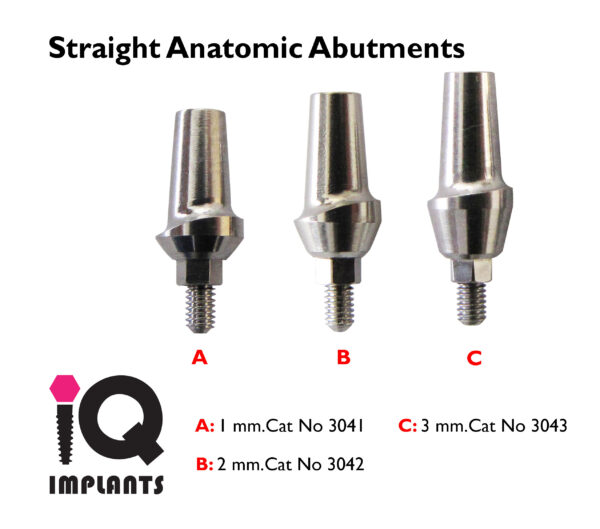 Straight Anatomic with 1 3mm LOGO copy