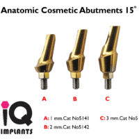 Anatomic Cosmetic 15 1 3mm