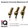 Anatomic Cosmetic 25 1 3mm 11 1