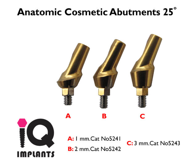 Anatomic Cosmetic 25 1 3mm 11 1