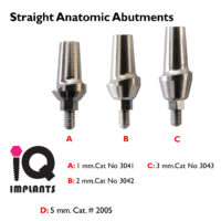 Straight Anatomic with 1 3mm LOGO copy 1