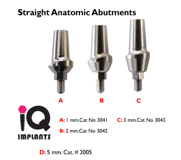 Straight Anatomic with 1 3mm LOGO copy 1