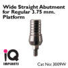 Wide Straight Abutment fo regular platform