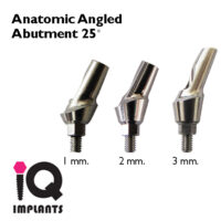 anatomic anguled 25 1 23 LOGO