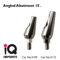 anguled abutment 15 regular long copy