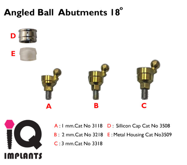 Angled Ball attachment 18 1 3 LOGO copy